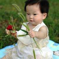 中国代母村_代母产子怎么生_pCU42_智商可预测，未来试管婴儿将可选择“最聪明