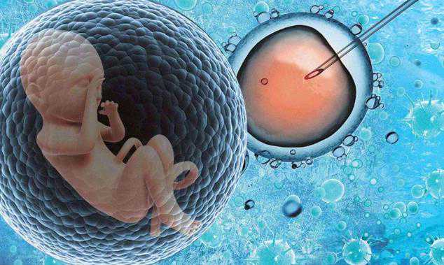 俄罗斯试管婴儿胚胎培养技术怎么样？